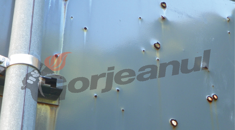 “Puşcaşii” de pe Sohodol