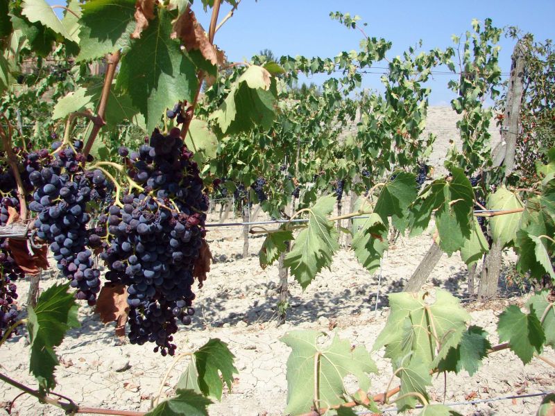 Procuror DNA, cercetat de Parchetul Înaltei Curţi pentru o executare din Gorj