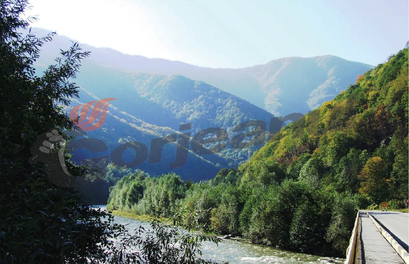 Parcul Naţional Defileul Jiului, mai curat