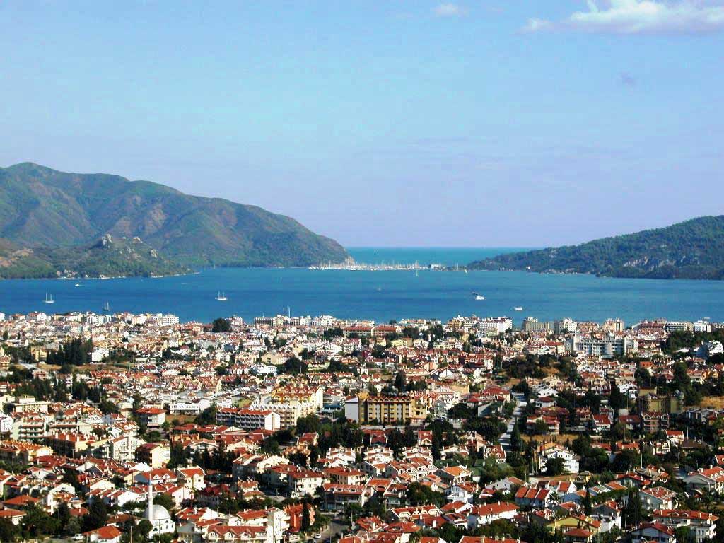 Scurte comentarii la mijloc de august fierbinte