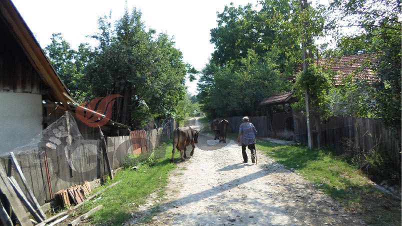 Seuca, satul celor 100 de votanţi, fără copii născuţi din 1994