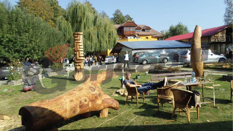 Tabăra privată de sculptură – “ACASĂ LA BRÂNCUŞI”, ediţia întâia, Peştişani – 2013