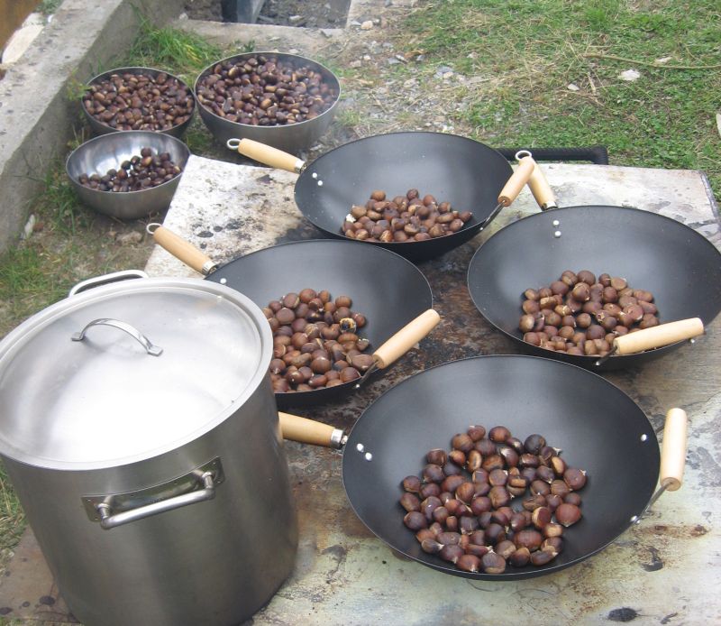 Workshop al APM Gorj la Festivalul castanului de la Tismana