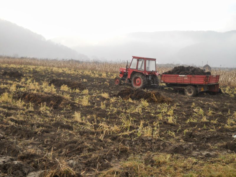 Culturi stresate, la Gorj