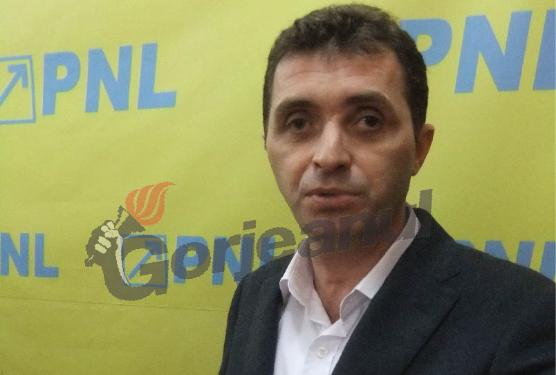 Deputatul Cupă vorbeşte limba lui Brâncuşi