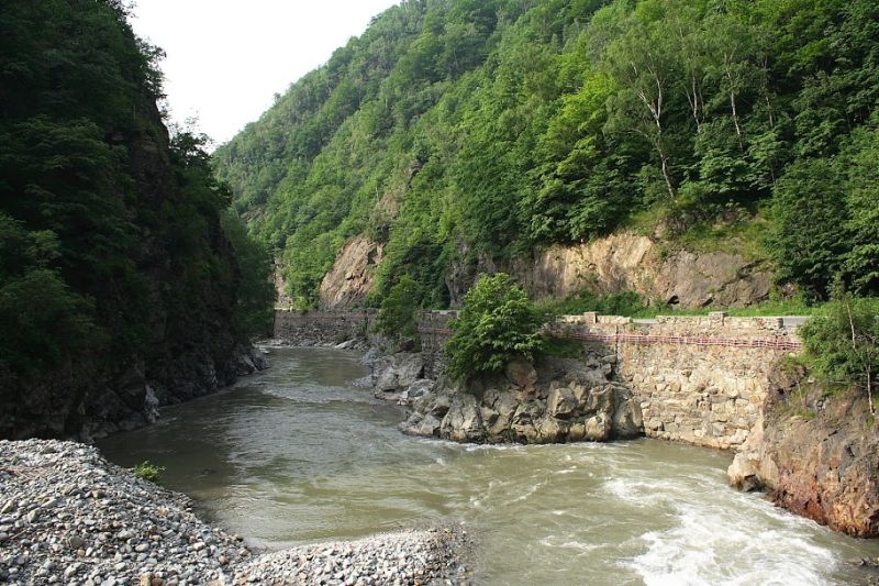 ANRP şi Prefectura Gorj le-au dat şah moştenitorilor lui Chifu