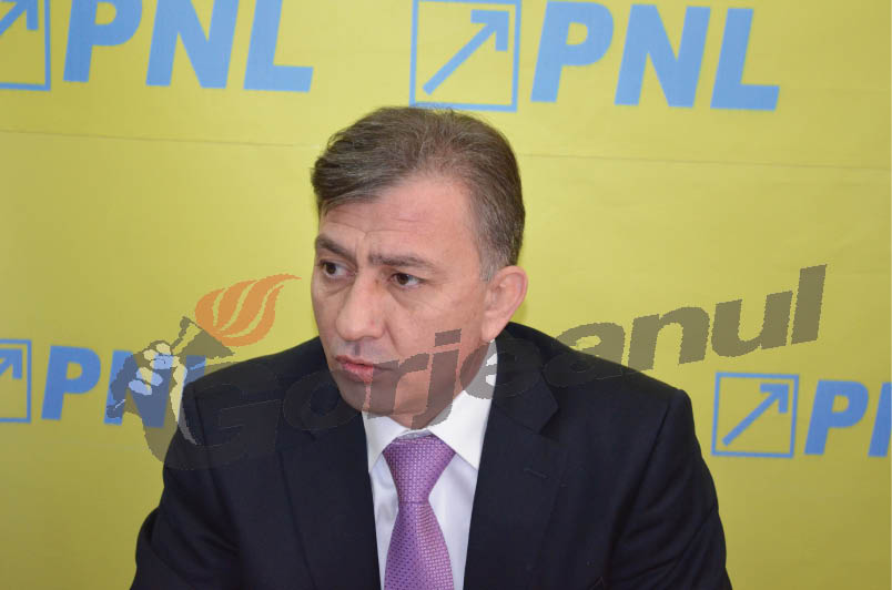 Dian nu crede că Tăriceanu trebuia să-şi facă ONG