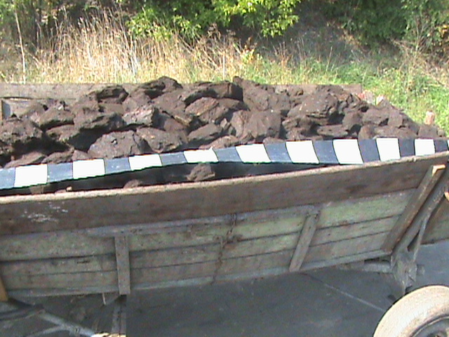 Minor prins la furat de cărbune