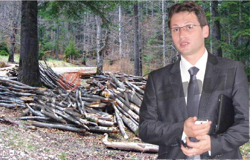 Teodorescu vrea să oprească furtul de material lemnos