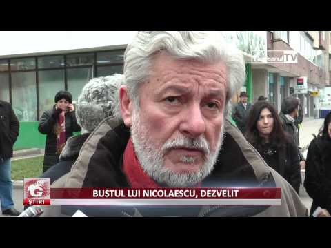 BUSTUL LUI NICOLAESCU, DEZVELIT