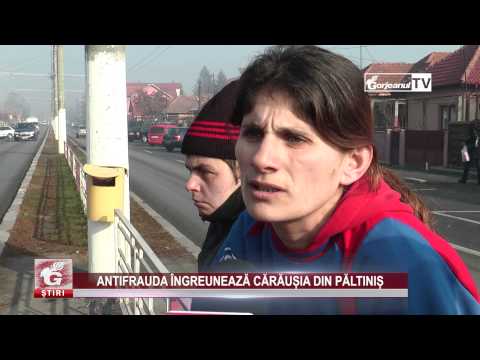 ANTIFRAUDA ÎNGREUNEAZĂ CĂRĂUȘIA DIN PĂLTINIȘ