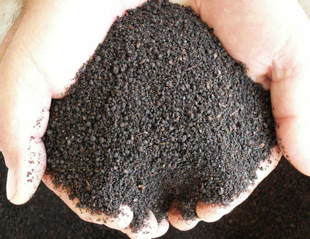 Investitori din China, în vizită de lucru la Târgu-Jiu