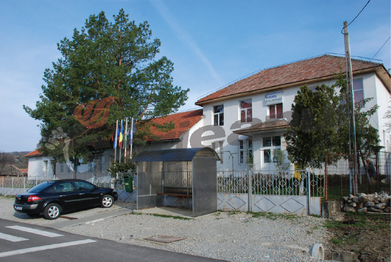 Proiect Comenius la Liceul Tehnologic Bîlta