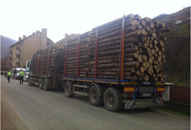 Gorjean, prins la graniţă transportând ilegal masă lemnoasă
