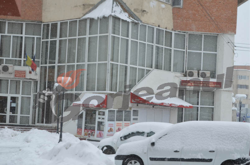 Poliţia Locală, pe poziţii