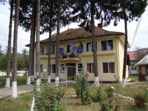 Vicele de Licurici şi-a plâns schimbarea din funcţie