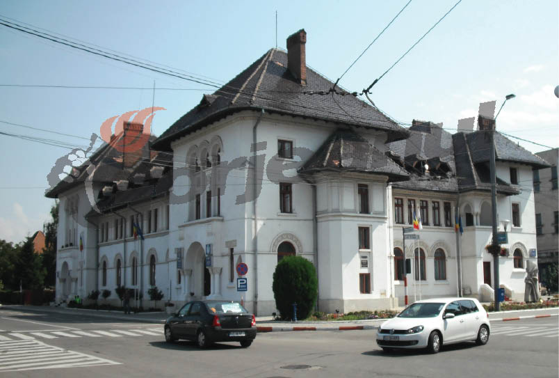 Pe cine am mandatat să rânduiască treburile judeţului