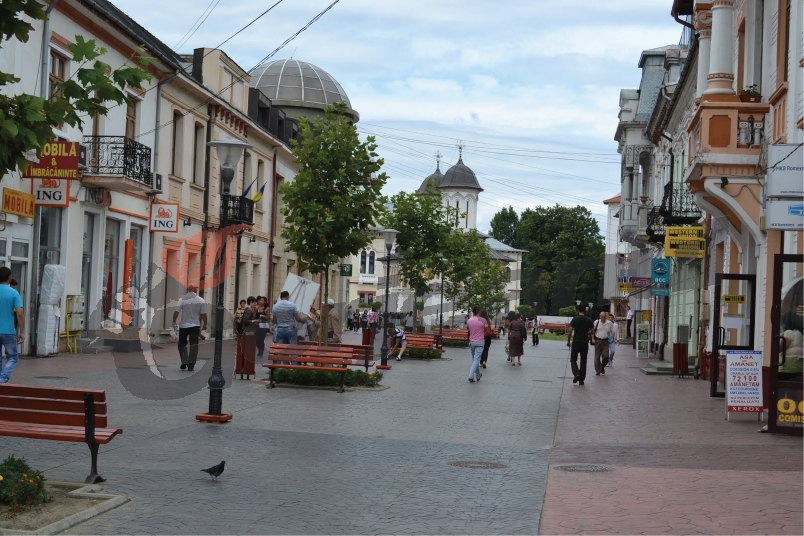 Bilanţ la Biroul pentru Imigrări