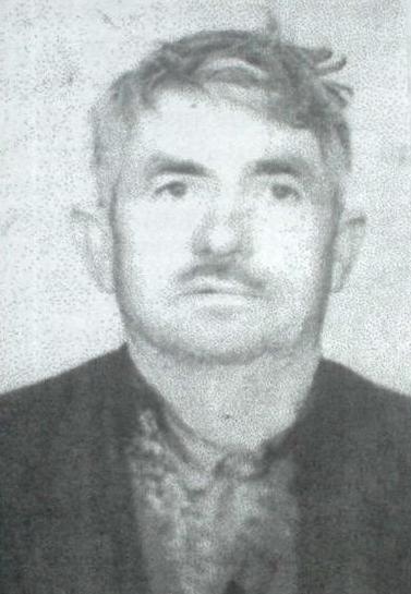 Pe urmele Vitejilor Gorjului – Cavaleri ai ordinului ,,Mihai Viteazul” – VIŞAN P. ION – Sublocotenent