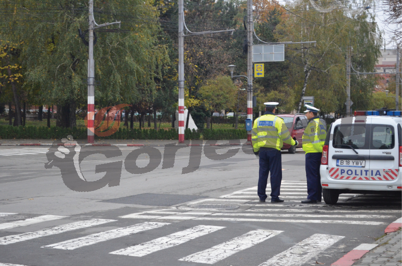180 de sancţiuni şi 10 permise reţinute, într-o singură zi