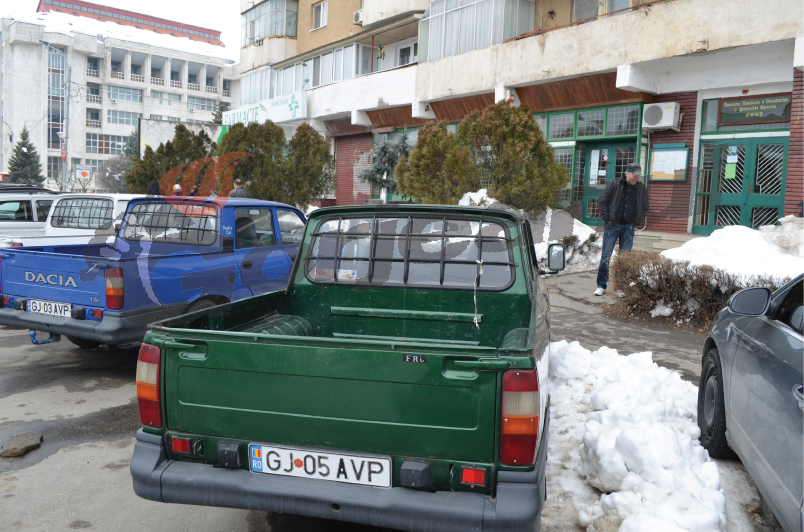 Vânătorii din AJVPS Gorj hrănesc animalele şi păsările din Cerneţi