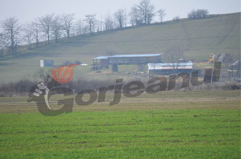 Fermierul Condescu îşi face hotel şi bază sportivă la Baniu
