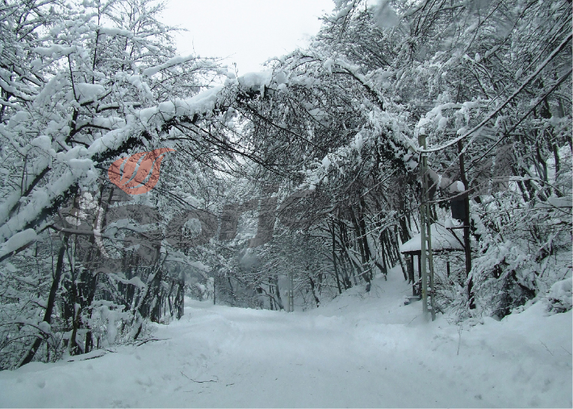 Gura târgului – Comuna prefectului Văcaru, cu drumurile înzăpezite