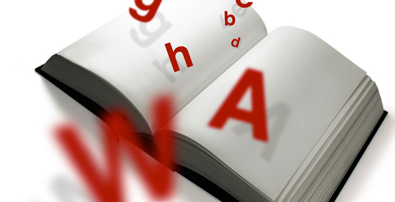 Limba noastră – “Regimul lui care”