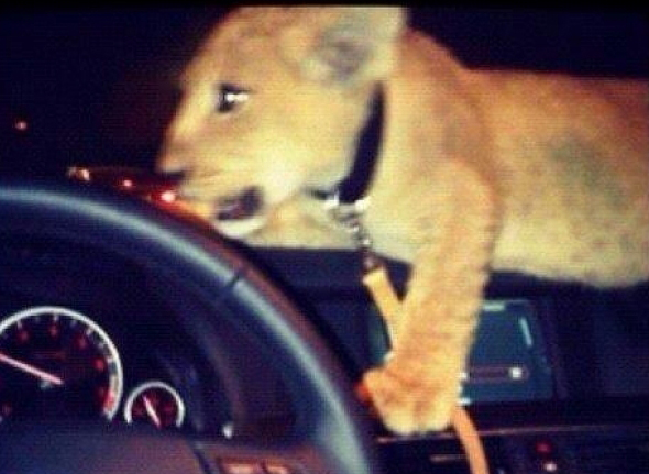 Filip Jr, anchetat pentru “prostii” făcute pe Facebook