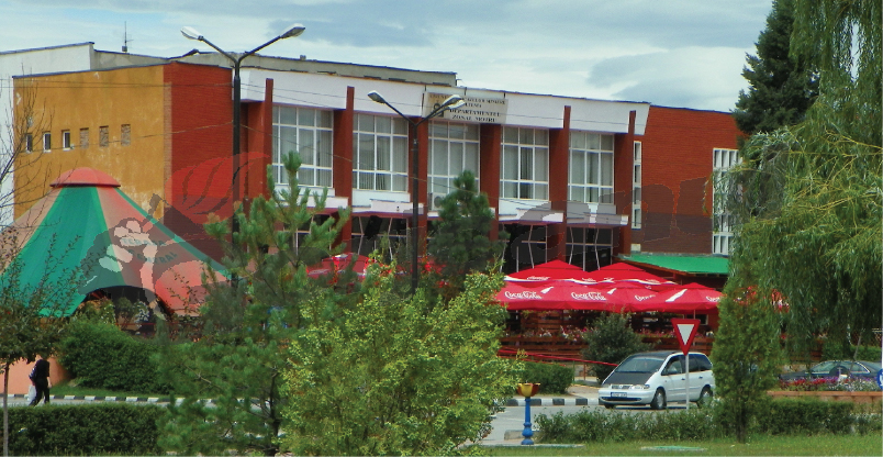 În dar ţi-am adus inima…