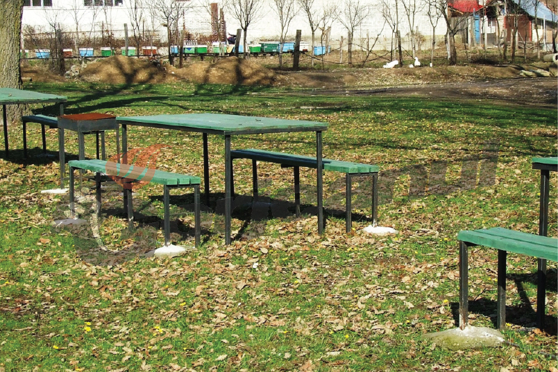 Primăria Târgu-Jiu, furată la grătare