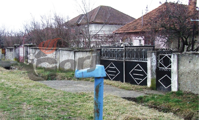 Astenii de primăvară – “In vino veritas”