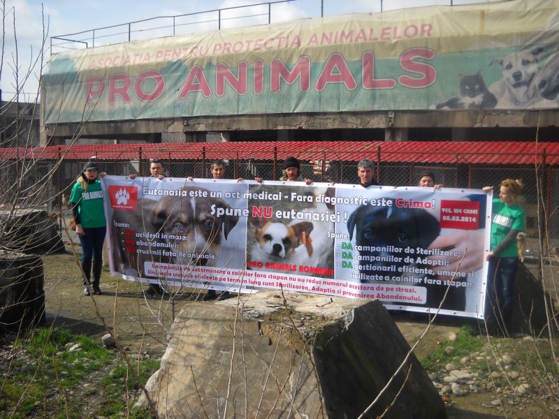 Protest la Târgu-Jiu, faţă de eutanasierea câinilor comunitari