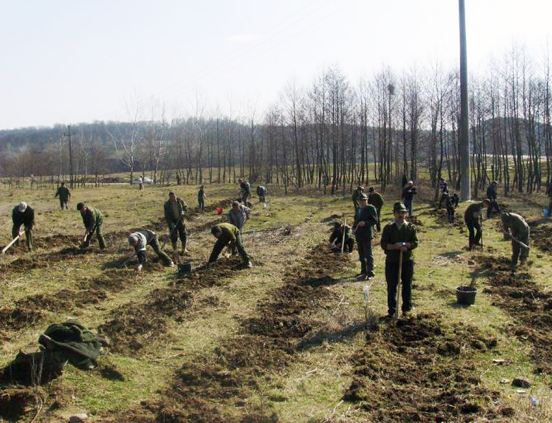 Sărbătoarea sădirii arborilor