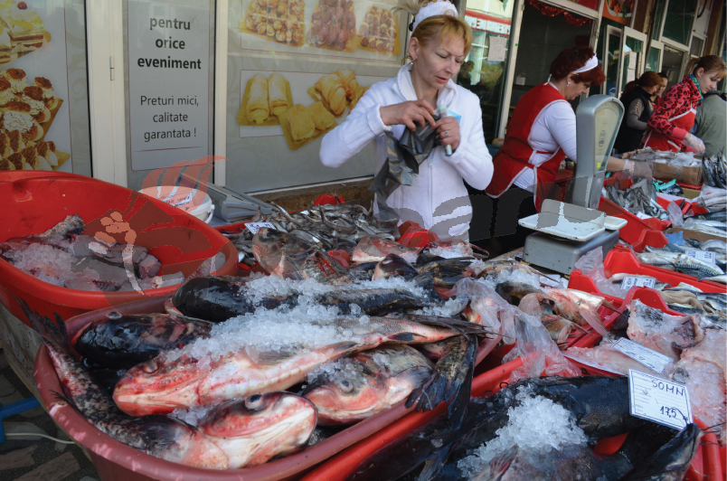 Tarabele cu peşte din Târgu-Jiu, luate cu asalt