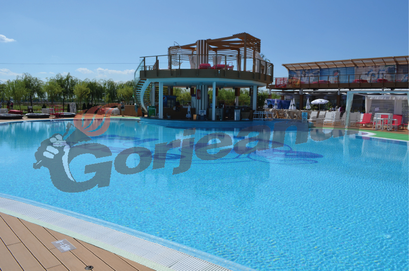 Gura târgului – Cheful poliţiştilor pe Insuliţă, cu Niculina Stoican