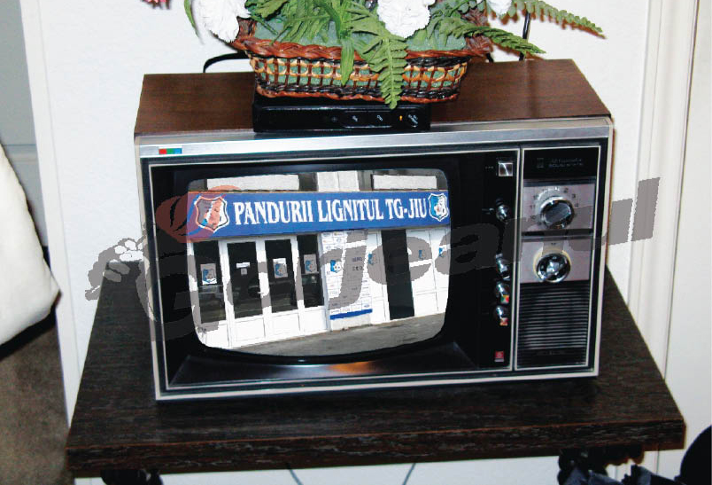 Pandurii “TV” îşi scoate la mezat acţiunile din media