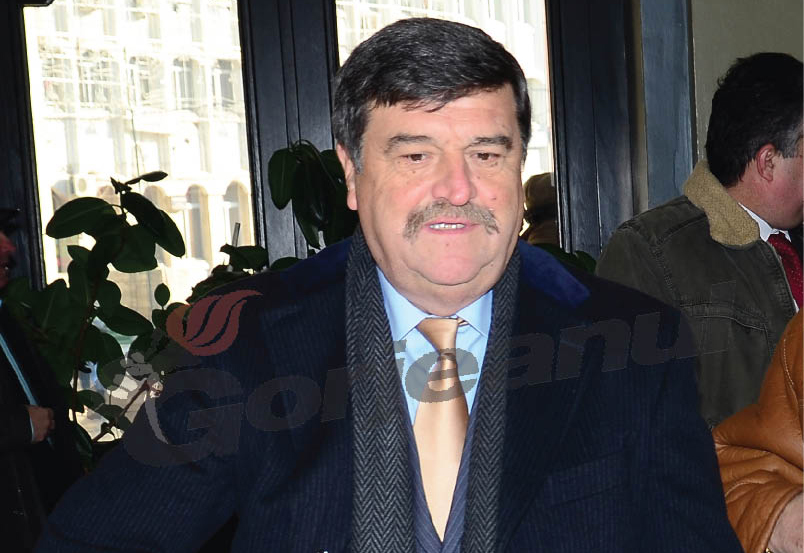 Corespondenţă între Greblă şi Cârciumaru pentru emblema Pandurii