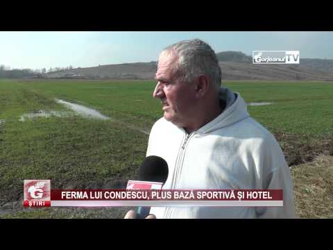 FERMA LUI CONDESCU, PLUS BAZĂ SPORTIVĂ ȘI HOTEL