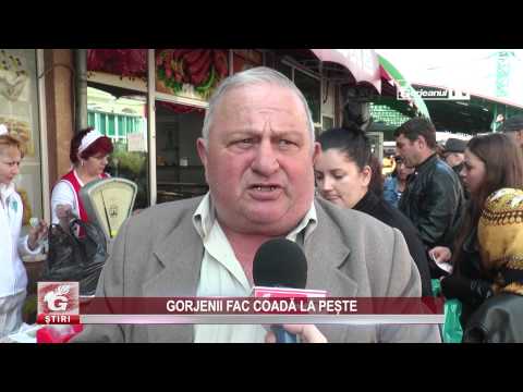 GORJENII FAC COADĂ LA PEȘTE