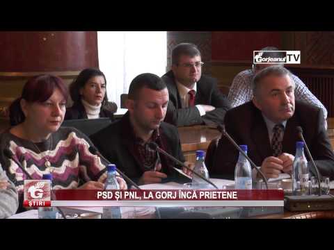 PSD ȘI PNL, LA GORJ ÎNCĂ PRIETENE