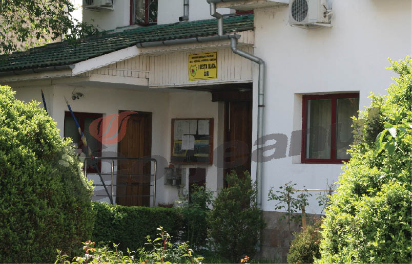 360.000 de puieţi urmează să fie plantaţi în Gorj