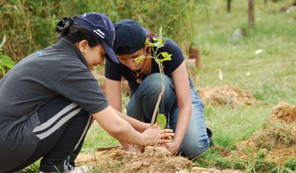 13 miliarde de lei pentru regenerarea pădurilor din judeţ