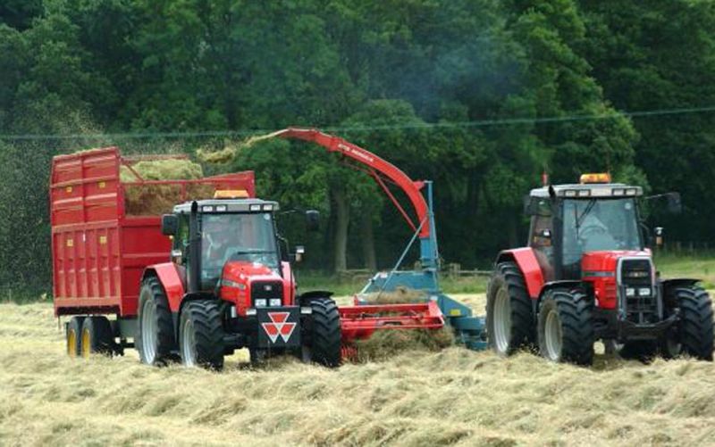 Fermierii, rugaţi să depună cererile de plată a subvenţiei pe 2014 până pe 15 mai