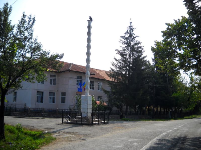 Focarul de pediculoză din Şcoala Padeş, confirmat: 8 elevi au păduchi, directorul Pora are 10.000 de lei amendă