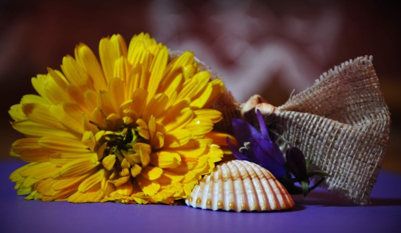 CNET, gazda expoziţiei de fotografie „Floralia”