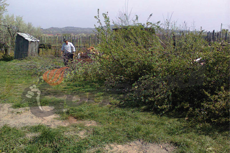 Administraţia publică din Scoarţa sprijină copiii cu dizabilităţi