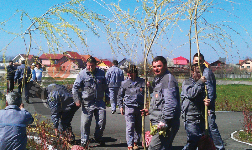 70 de arbori, plantaţi de angajaţii CEZ în zona Narciselor