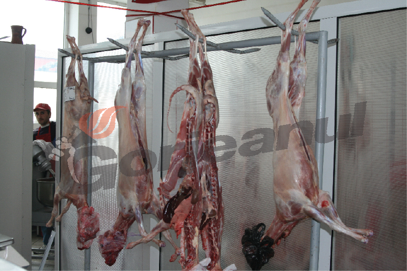 Medicii îi sfătuiesc pe gorjeni să evite mieii mici