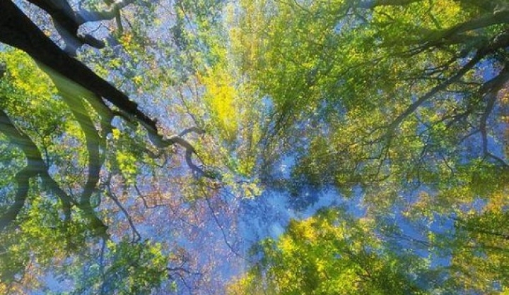 PROGNOZA-METEO-21-23.04.14